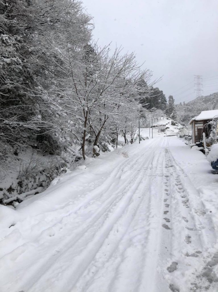 雪☃