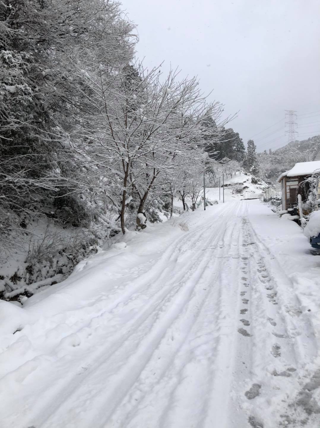 雪☃